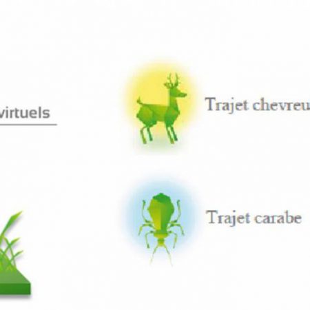 Modélisation en Ecologie